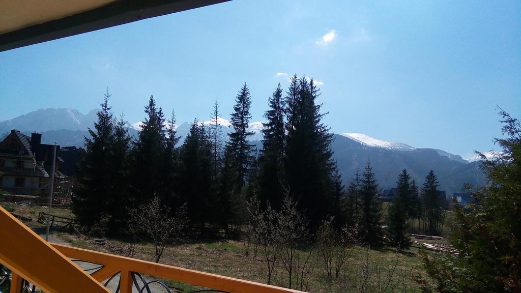 Pensjonat Reymontowka Kościelisko Esterno foto